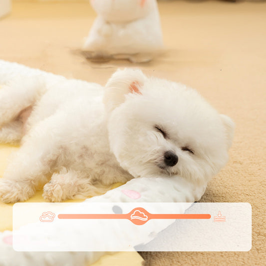 Orthopedic Dog Bed for Joint Relief – Plush, Washable & Comfortable